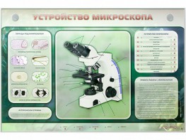 Электрифицированный стенд "Устройство микроскопа и правила работы c ним" - fgospostavki.ru - Первоуральск