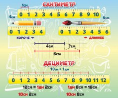 Стенд "Сантиметр" - fgospostavki.ru - Первоуральск