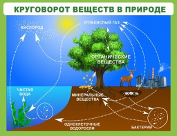 Стенд "Круговорот веществ" - fgospostavki.ru - Первоуральск