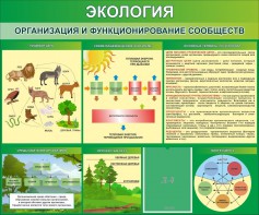 Стенд "Экология. Организация и функционирование сообществ" - fgospostavki.ru - Первоуральск