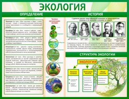 Стенд "Экология" - fgospostavki.ru - Первоуральск