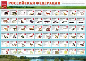Стенд "Красная книга РФ" - fgospostavki.ru - Первоуральск