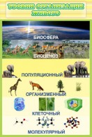 Стенд "Уровни организации живого" - fgospostavki.ru - Первоуральск