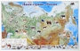 Магнитные карточки "Животные" - fgospostavki.ru - Первоуральск